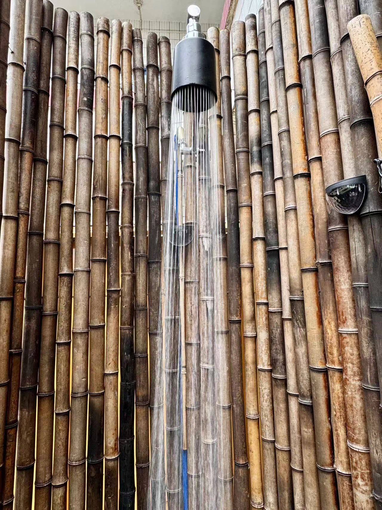 f0747a896a97882a2b89bcfcf1f9bc3