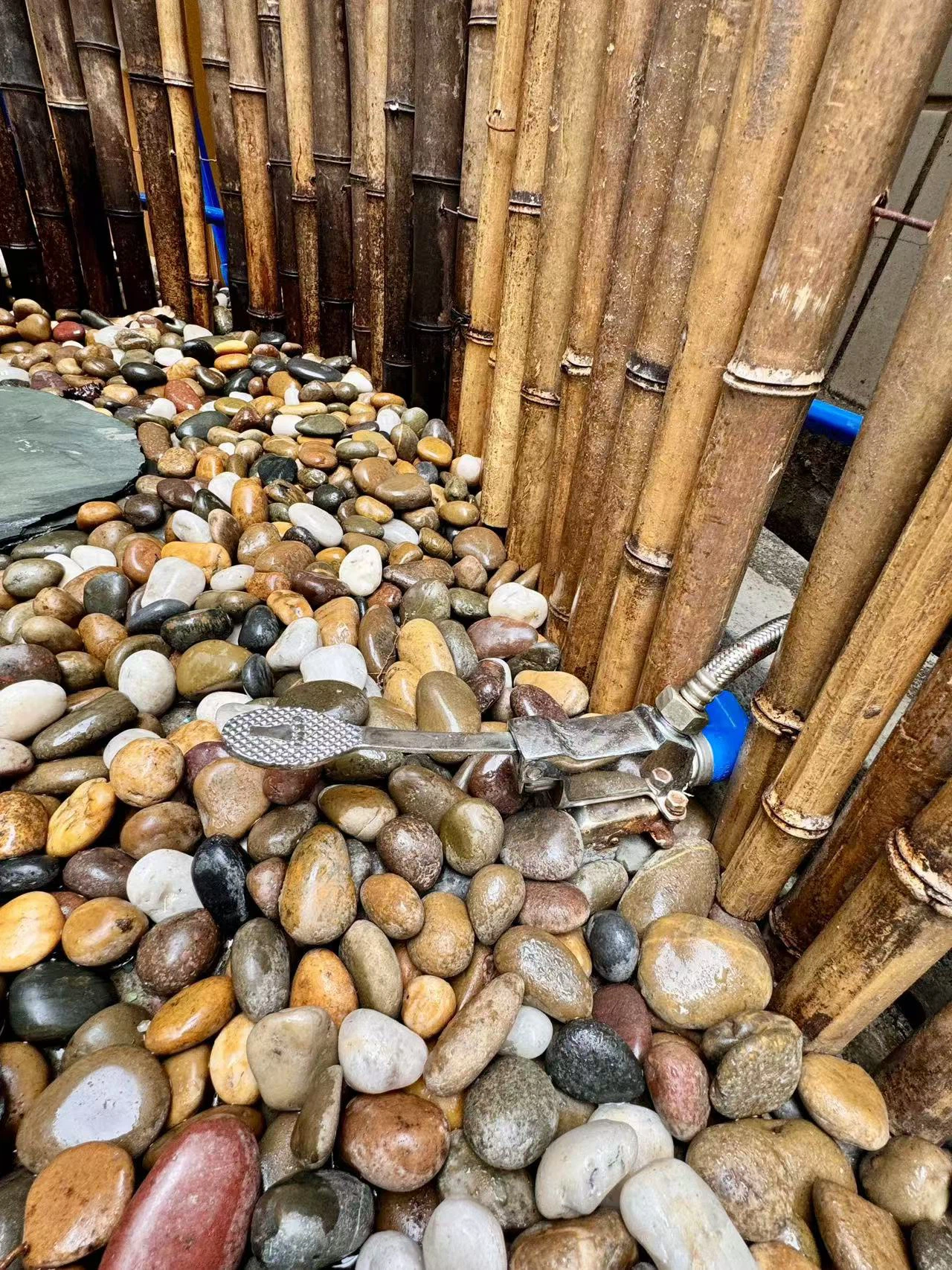 097927dea1bb2ce5ec5656357ad9a0f